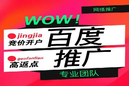 百度竞价代理的投放技巧与效果评估案例